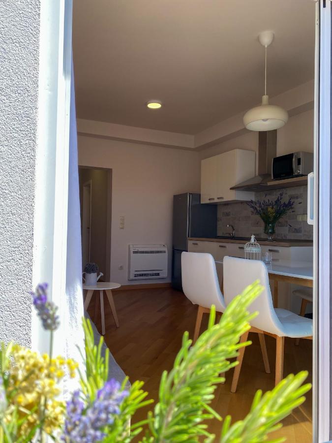 Apartments Dalmatino ヴォディツェ エクステリア 写真