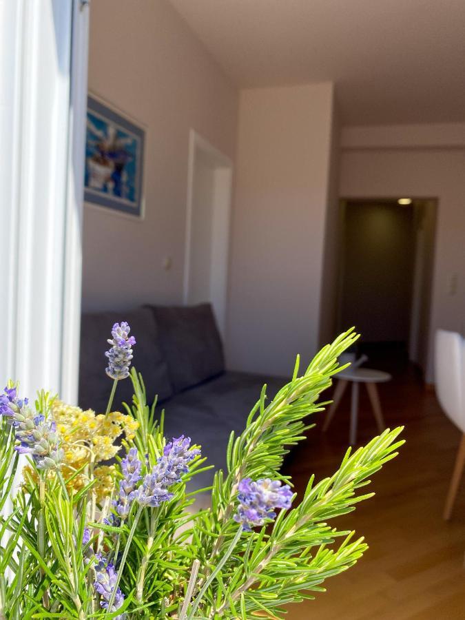 Apartments Dalmatino ヴォディツェ エクステリア 写真